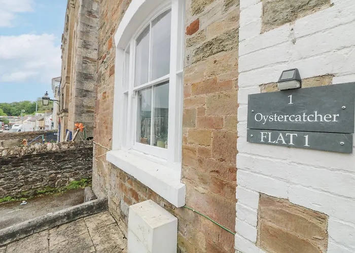 The Oystercatcher